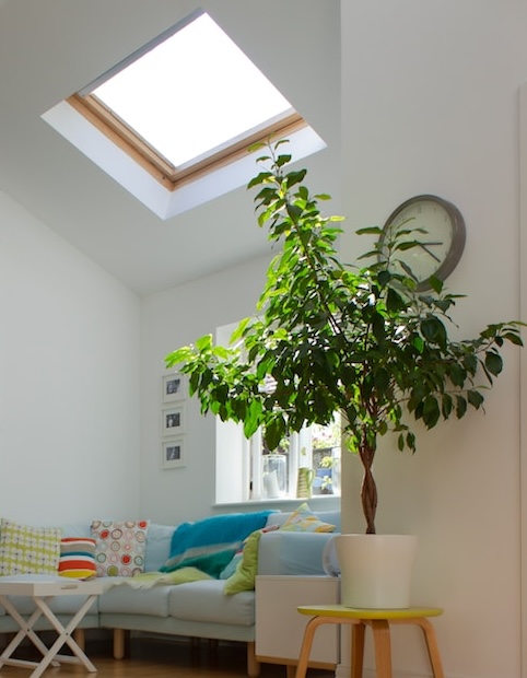 pose-velux